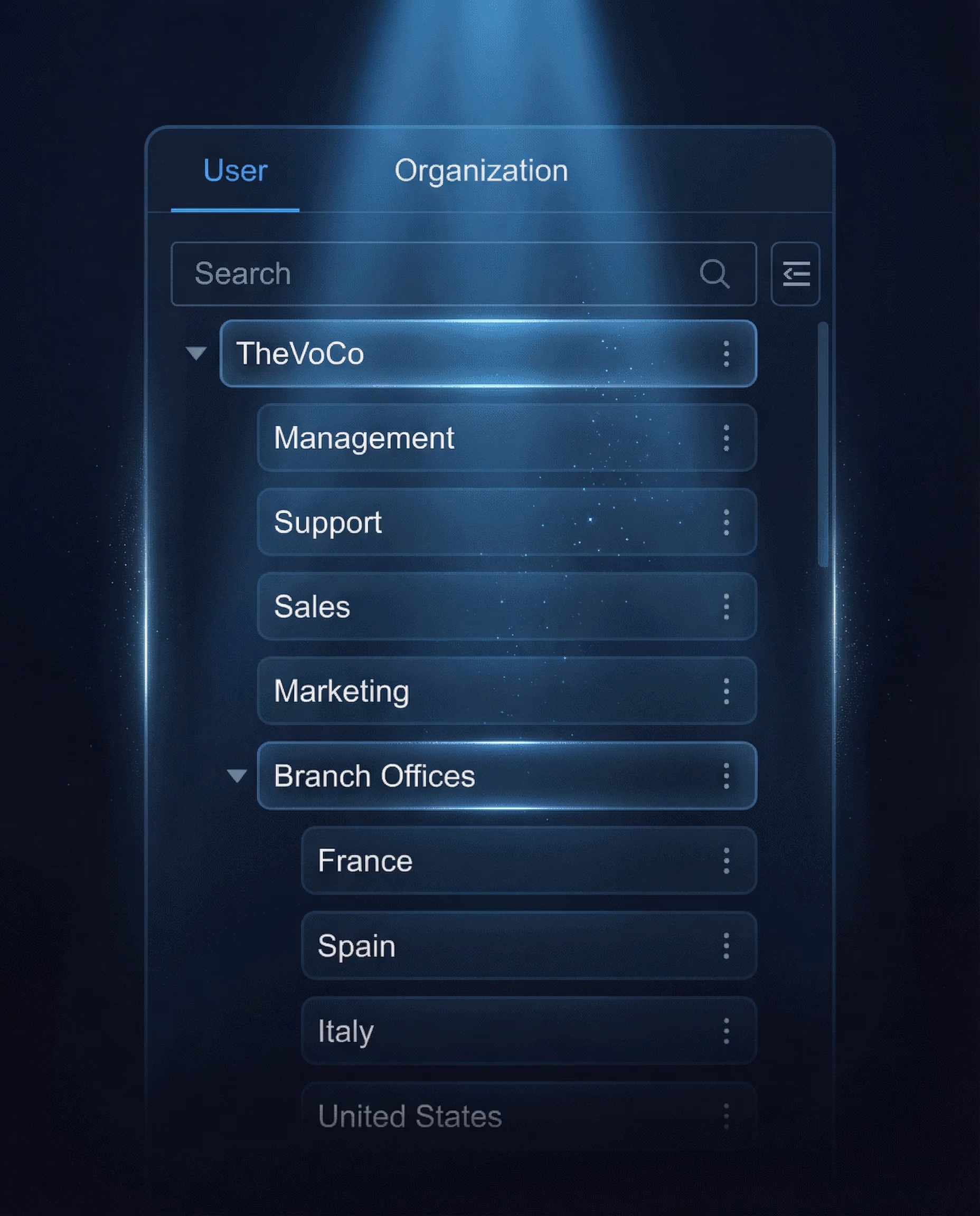 Organization Structure